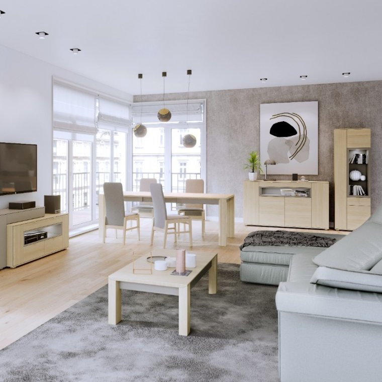 Choose the Vantage for a Modern Living Room Interior